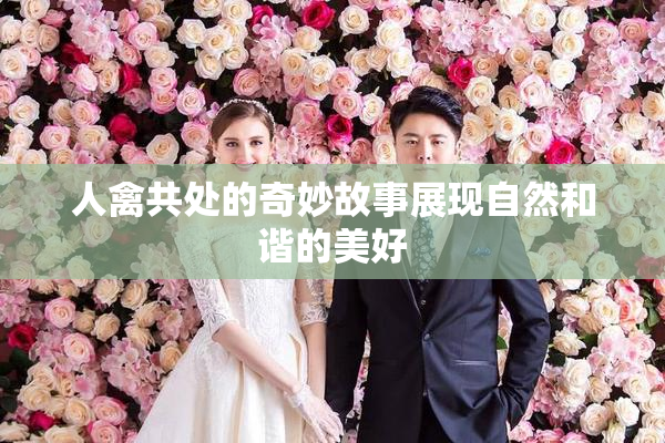 人禽共处的奇妙故事展现自然和谐的美好