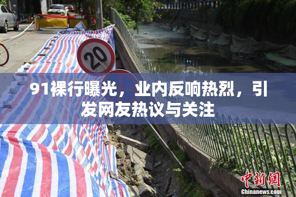 91裸行曝光，业内反响热烈，引发网友热议与关注