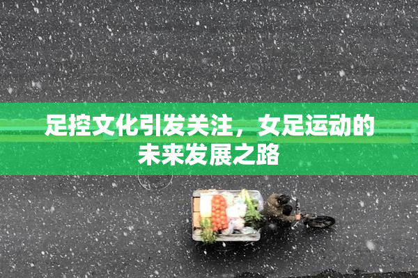 足控文化引发关注，女足运动的未来发展之路