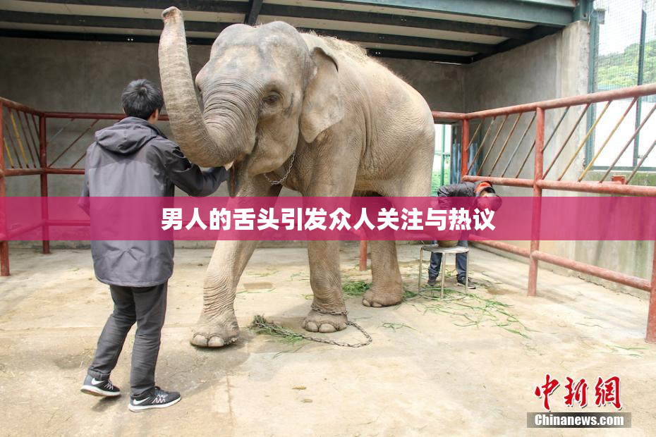 男人的舌头引发众人关注与热议