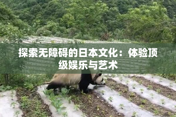 探索无障碍的日本文化：体验顶级娱乐与艺术