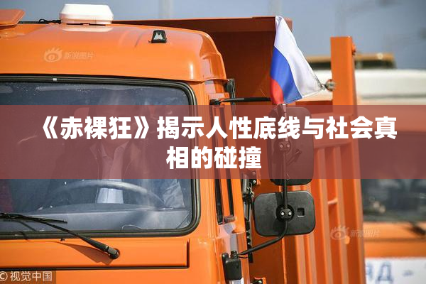 《赤裸狂》揭示人性底线与社会真相的碰撞