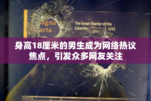 身高18厘米的男生成为网络热议焦点，引发众多网友关注