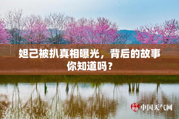 妲己被扒真相曝光，背后的故事你知道吗？