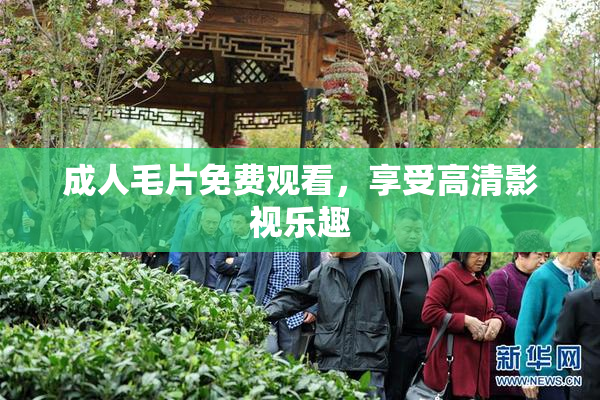 成人毛片免费观看，享受高清影视乐趣