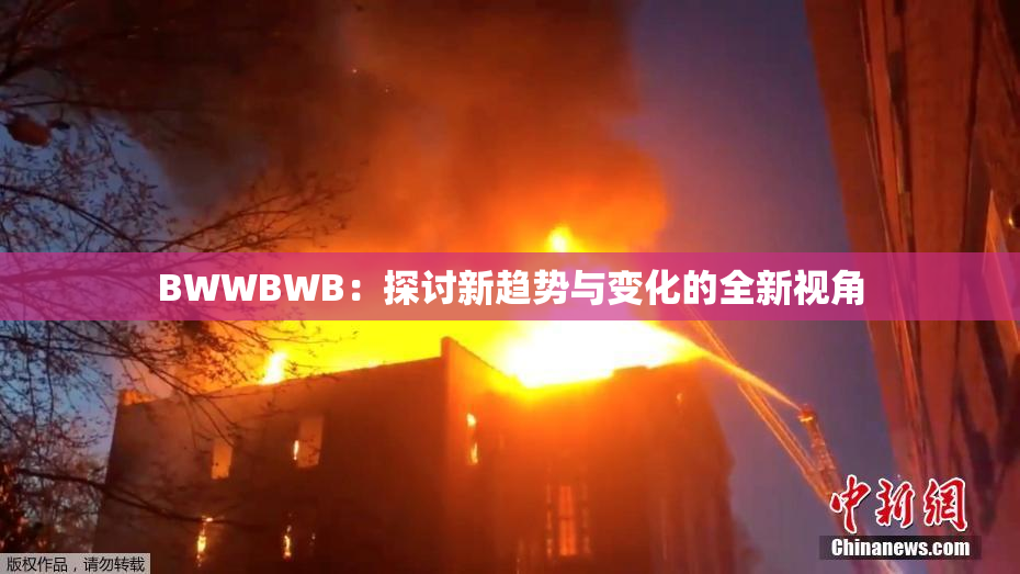 BWWBWB：探讨新趋势与变化的全新视角
