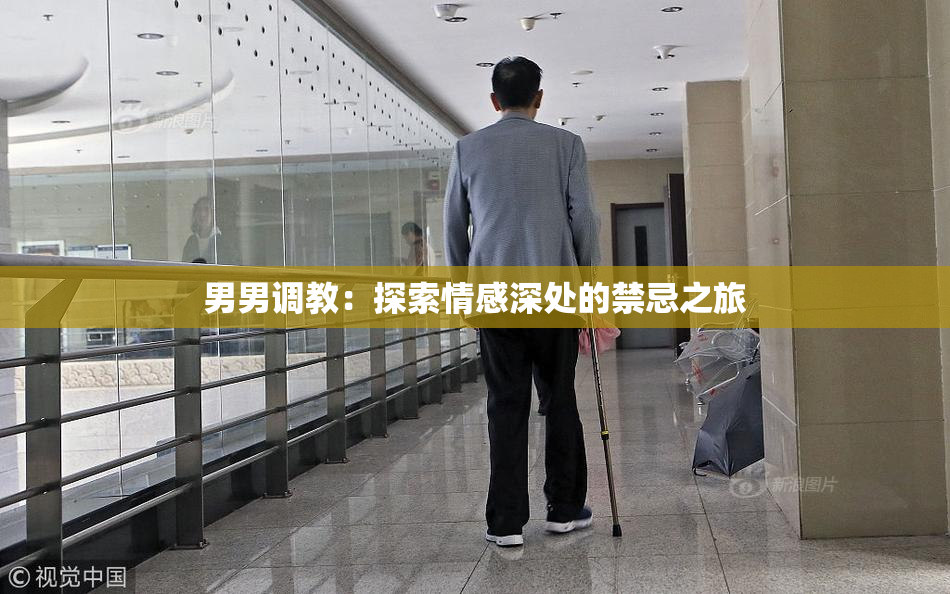 男男调教：探索情感深处的禁忌之旅