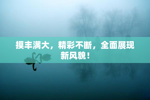 摸丰满大，精彩不断，全面展现新风貌！
