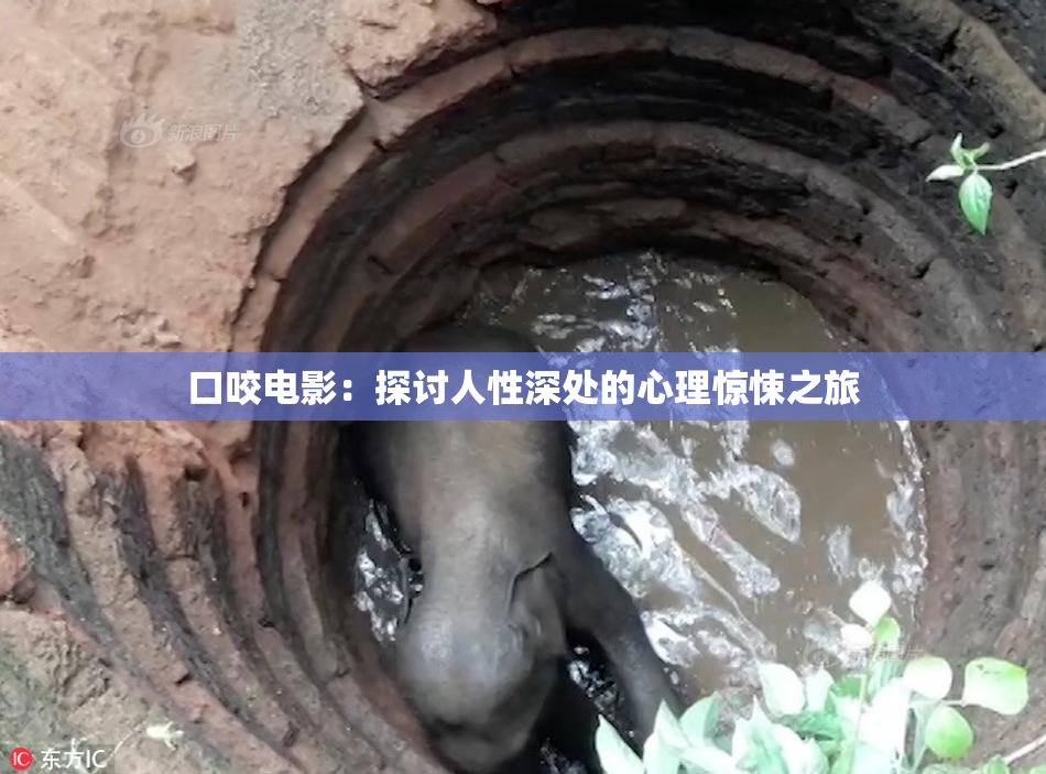 口咬电影：探讨人性深处的心理惊悚之旅