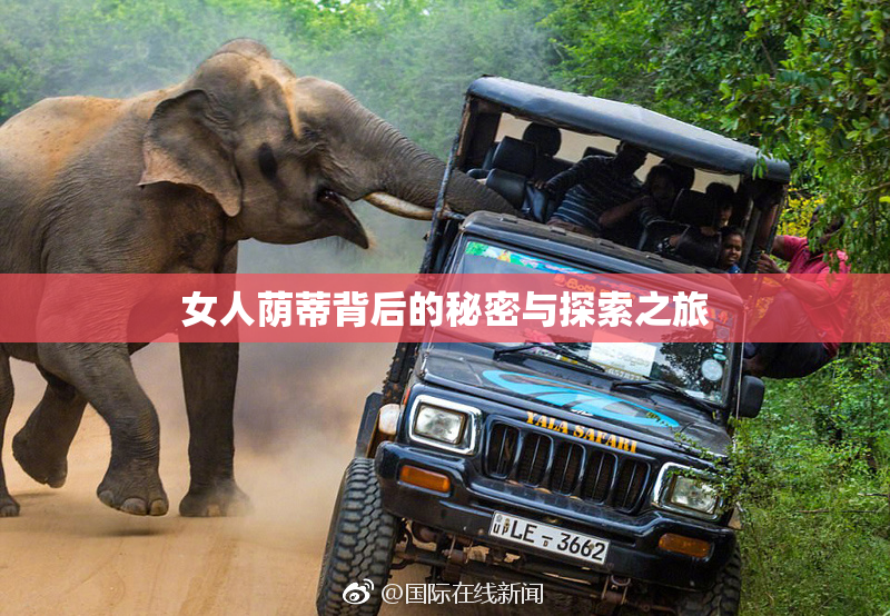 女人荫蒂背后的秘密与探索之旅