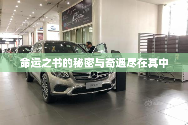 命运之书的秘密与奇遇尽在其中