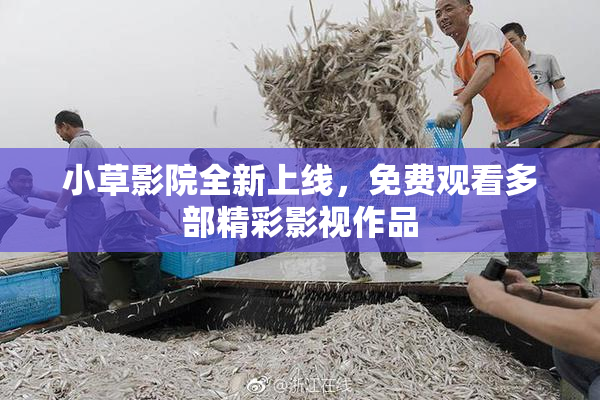 小草影院全新上线，免费观看多部精彩影视作品