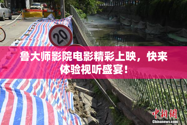 鲁大师影院电影精彩上映，快来体验视听盛宴！