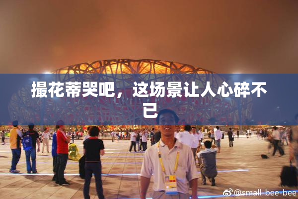 撮花蒂哭吧，这场景让人心碎不已