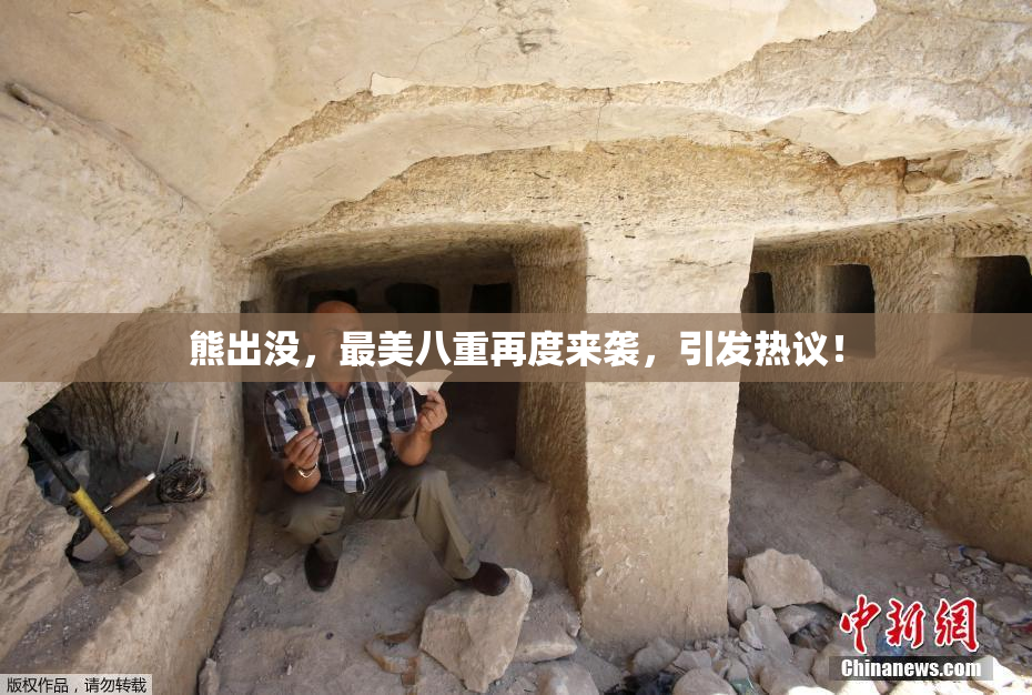 熊出没，最美八重再度来袭，引发热议！