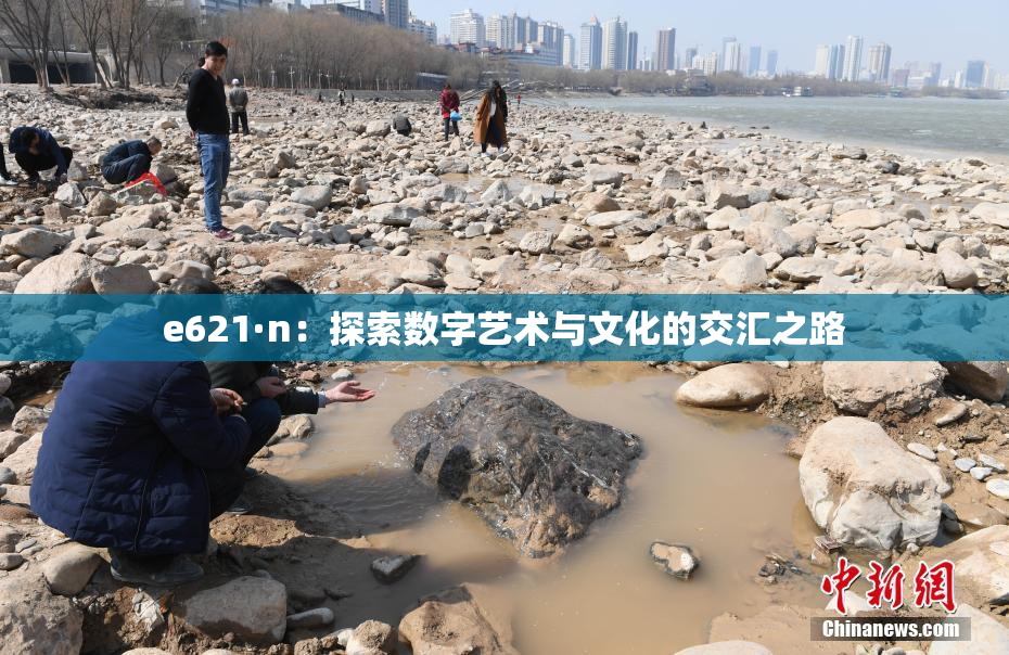 e621·n：探索数字艺术与文化的交汇之路