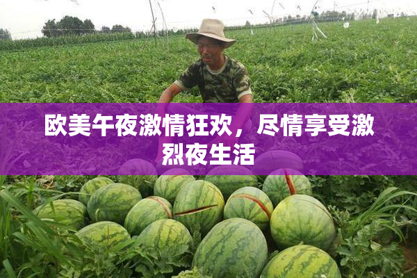 欧美午夜激情狂欢，尽情享受激烈夜生活
