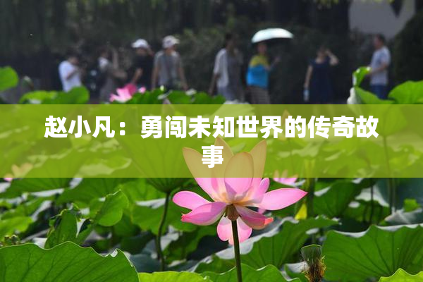 赵小凡：勇闯未知世界的传奇故事