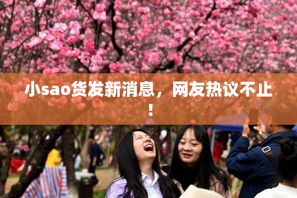 小sao货发新消息，网友热议不止！