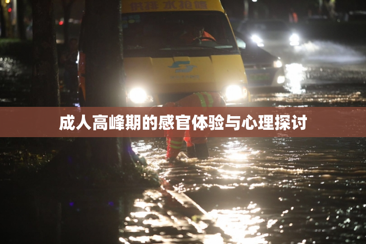 成人高峰期的感官体验与心理探讨