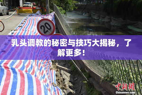 乳头调教的秘密与技巧大揭秘，了解更多！