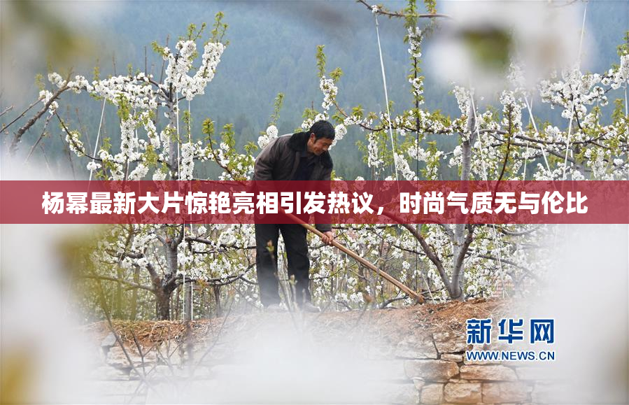 杨幂最新大片惊艳亮相引发热议，时尚气质无与伦比