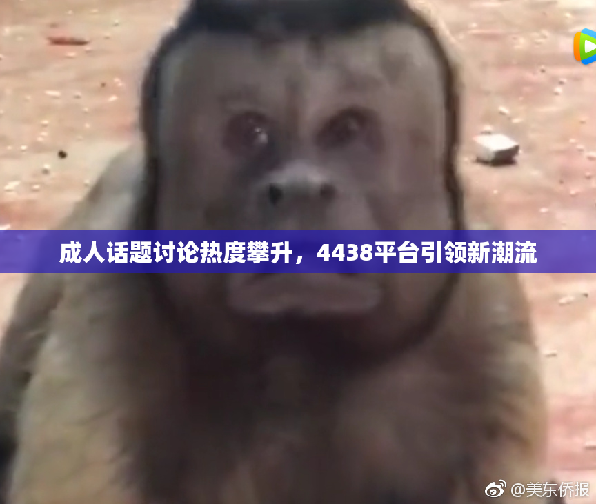 成人话题讨论热度攀升，4438平台引领新潮流