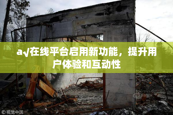 a√在线平台启用新功能，提升用户体验和互动性