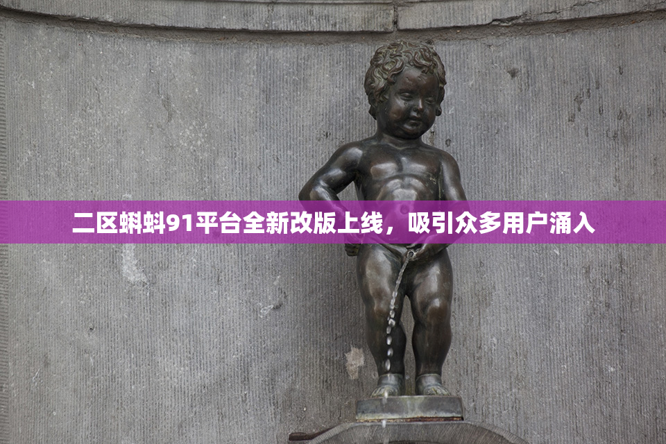二区蝌蚪91平台全新改版上线，吸引众多用户涌入
