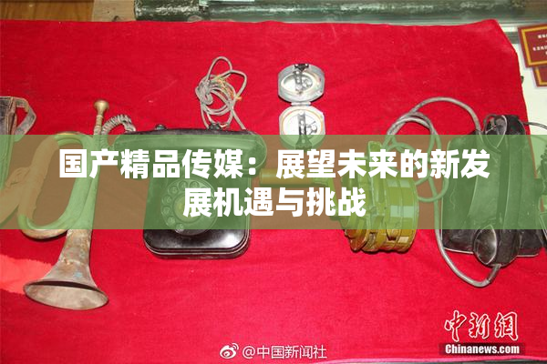 国产精品传媒：展望未来的新发展机遇与挑战