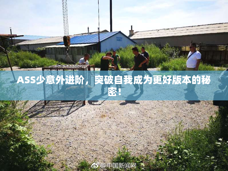 ASS少意外进阶，突破自我成为更好版本的秘密！