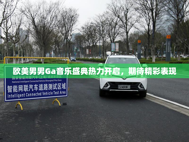 欧美男男Ga音乐盛典热力开启，期待精彩表现