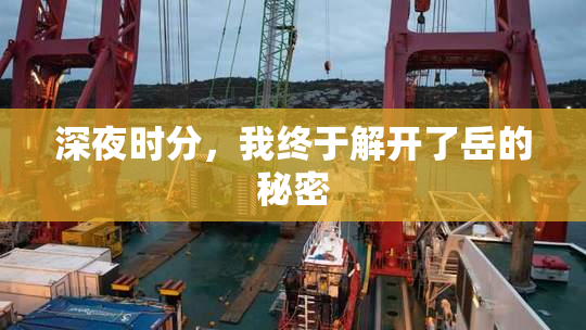 深夜时分，我终于解开了岳的秘密