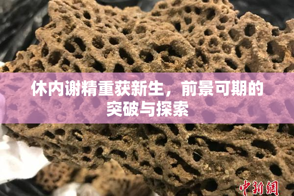 休内谢精重获新生，前景可期的突破与探索