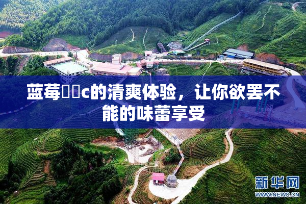 蓝莓❌‌c的清爽体验，让你欲罢不能的味蕾享受