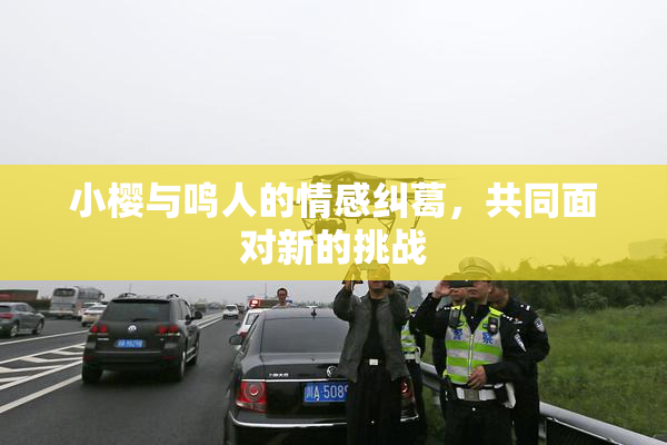 小樱与鸣人的情感纠葛，共同面对新的挑战