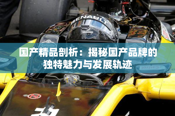 国产精品剖析：揭秘国产品牌的独特魅力与发展轨迹
