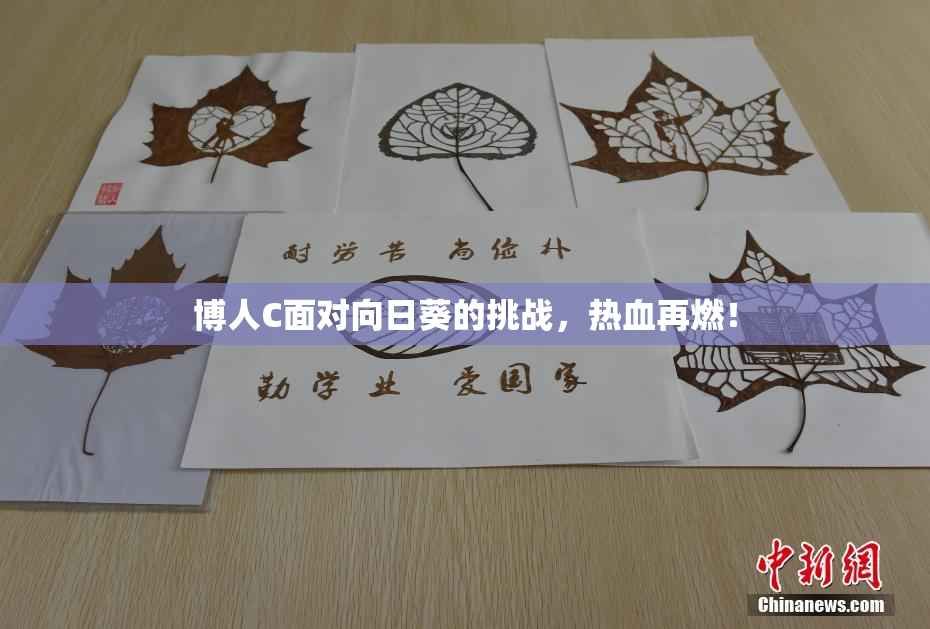 博人C面对向日葵的挑战，热血再燃！
