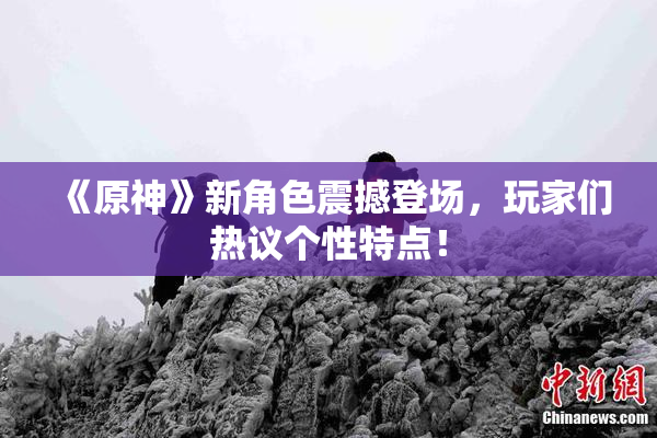 《原神》新角色震撼登场，玩家们热议个性特点！