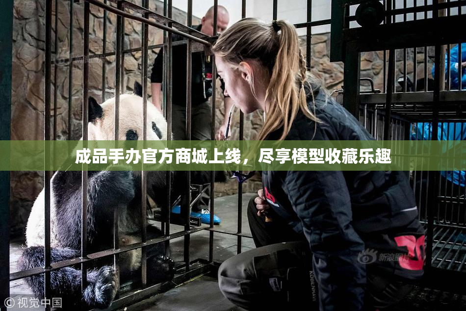 成品手办官方商城上线，尽享模型收藏乐趣