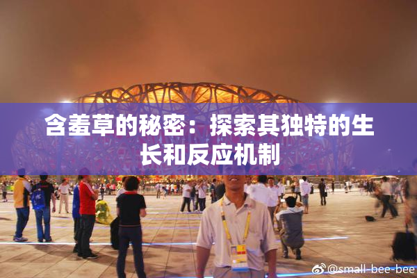 含羞草的秘密：探索其独特的生长和反应机制