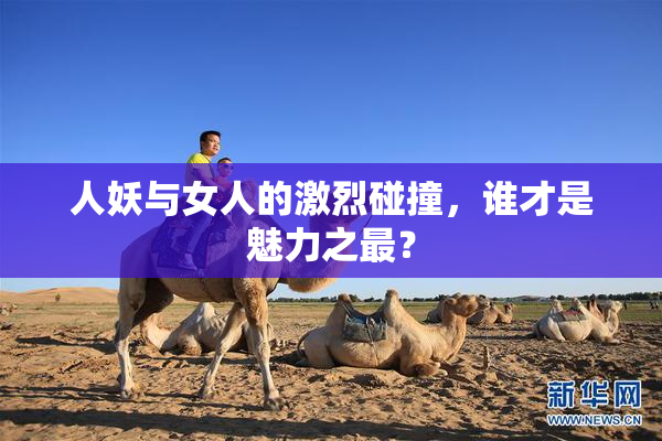 人妖与女人的激烈碰撞，谁才是魅力之最？