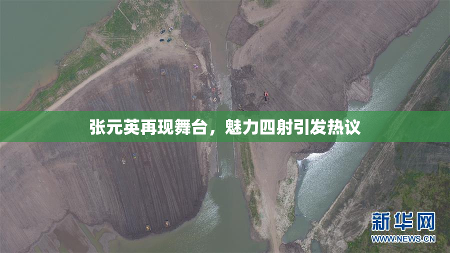 张元英再现舞台，魅力四射引发热议