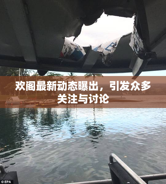 欢阁最新动态曝出，引发众多关注与讨论