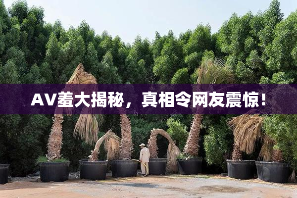 AV羞大揭秘，真相令网友震惊！