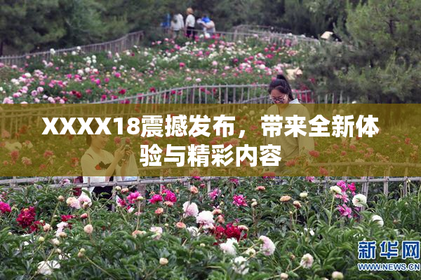 XXXX18震撼发布，带来全新体验与精彩内容
