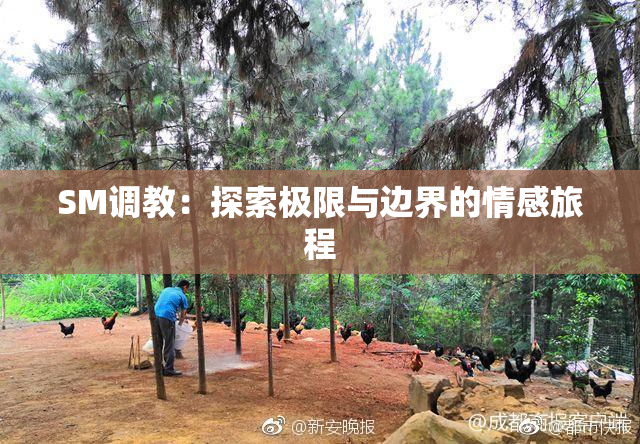 SM调教：探索极限与边界的情感旅程