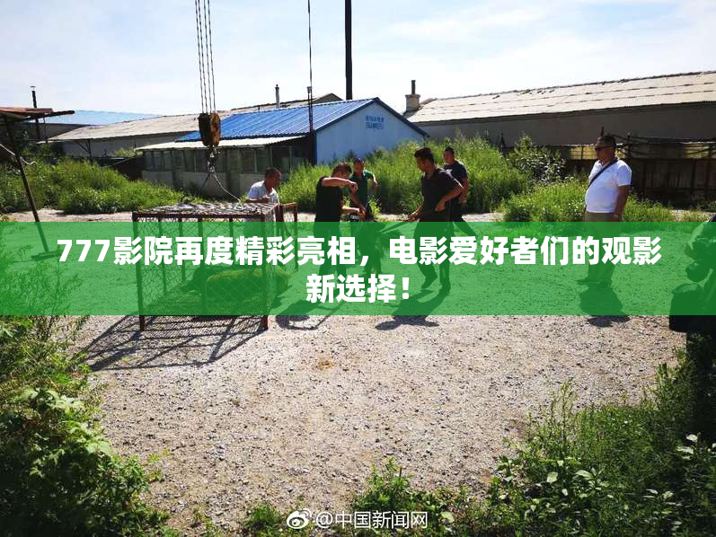 777影院再度精彩亮相，电影爱好者们的观影新选择！