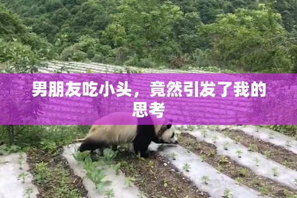 男朋友吃小头，竟然引发了我的思考