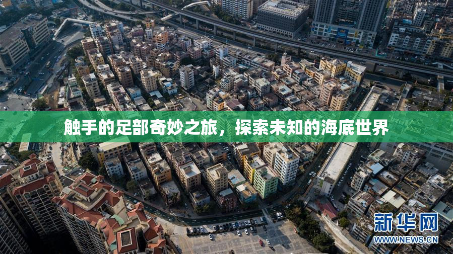 触手的足部奇妙之旅，探索未知的海底世界
